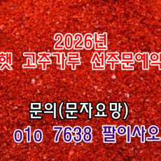 2026년 햇 건고추 고추가루 고춧가루 시세 가격 값 판매 구입 주문 예약